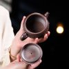 EWXZ001_5 Yixing Purple Clay Monkey Teapot