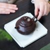 EWXZ004_3 Yixing Purple Clay Plum Blossom Teapot