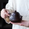 EWXZ004_4 Yixing Purple Clay Plum Blossom Teapot